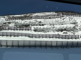 A87EC52F-BEE3-4EC1-ABF3-5024A8532BDB.jpeg A87EC52F-BEE3-4EC1-ABF3-5024A8532BDB.jpeg