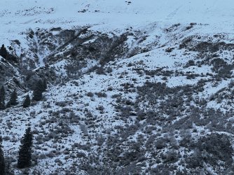 8AA1B038-3055-433C-9AC7-6E3FCB550B71.jpeg 8AA1B038-3055-433C-9AC7-6E3FCB550B71.jpeg