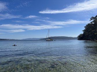 39A8FF96-D4FC-4190-8F0D-2828D72A2787.jpeg 39A8FF96-D4FC-4190-8F0D-2828D72A2787.jpeg