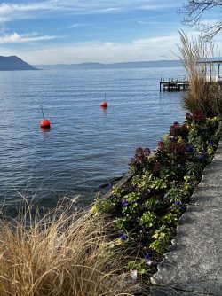 59A495F2-75EE-4630-B86A-128F9F589C53.jpeg 59A495F2-75EE-4630-B86A-128F9F589C53.jpeg