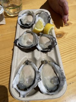 82B333B1-0321-4E2A-8EB6-48F62005A702.jpeg 82B333B1-0321-4E2A-8EB6-48F62005A702.jpeg