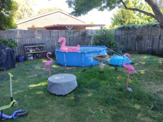 IMG_20221228_112214599.jpg IMG_20221228_112214599.jpg