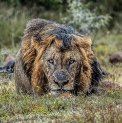 Screen Shot 2023-01-07 at 9.24.04 am.png Screen Shot 2023-01-07 at 9.24.04 am.png