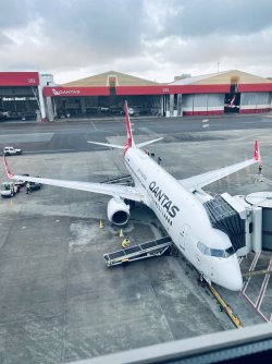 8211A674-8C41-421B-A0B9-E002DC36A759.jpeg 8211A674-8C41-421B-A0B9-E002DC36A759.jpeg