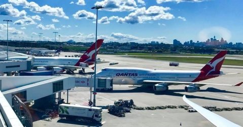 57944E79-360F-4DD1-A915-12EFC69E08F4.jpeg 57944E79-360F-4DD1-A915-12EFC69E08F4.jpeg