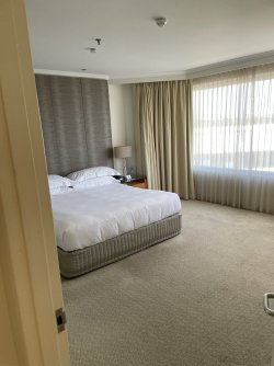 E2175E30-EFB8-47B8-83B3-E7D8B778470F.jpeg E2175E30-EFB8-47B8-83B3-E7D8B778470F.jpeg