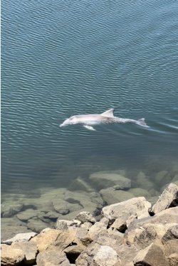 19E53A03-2AD5-4AB5-B1D6-E29EC34305B2.jpeg 19E53A03-2AD5-4AB5-B1D6-E29EC34305B2.jpeg