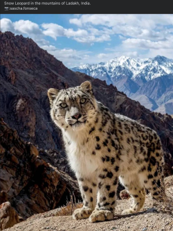 Screen Shot 2023-01-13 at 9.30.28 am.png Screen Shot 2023-01-13 at 9.30.28 am.png