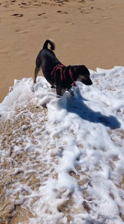 IMG_20221130_091958769~3.jpg IMG_20221130_091958769~3.jpg