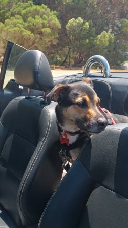 IMG_20221126_111045455_BURST000_COVER_COMP.jpg IMG_20221126_111045455_BURST000_COVER_COMP.jpg