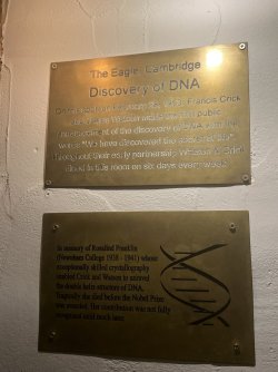 IMG_8995.JPG IMG_8995.JPG