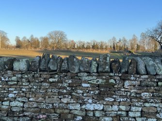 IMG_9155.JPG IMG_9155.JPG