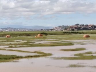 2023-01-18 09.16.22.jpg 2023-01-18 09.16.22.jpg