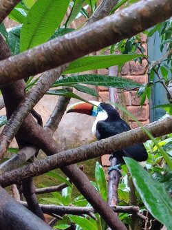 2023-01-19 10.46.55.jpg 2023-01-19 10.46.55.jpg