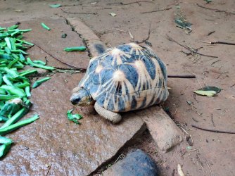 2023-01-19 10.48.50.jpg 2023-01-19 10.48.50.jpg