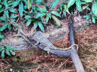 2023-01-19 11.16.13.jpg 2023-01-19 11.16.13.jpg