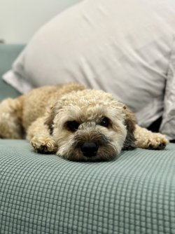 9DC26498-B4A6-4DCF-8811-695FD4E06EDC.jpeg 9DC26498-B4A6-4DCF-8811-695FD4E06EDC.jpeg