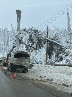 6104545E-EEFF-45ED-874C-45230B22162B.jpeg 6104545E-EEFF-45ED-874C-45230B22162B.jpeg