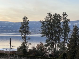 3FA821BB-704D-4209-95A2-7B8FDD5C8A11.jpeg 3FA821BB-704D-4209-95A2-7B8FDD5C8A11.jpeg