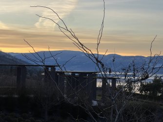 6C5EA529-EBCC-486D-B065-B365149D277F.jpeg 6C5EA529-EBCC-486D-B065-B365149D277F.jpeg