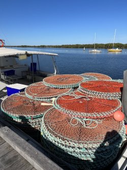 64AECA69-4A39-484F-BA7A-BADC8EFDF8AA.jpeg 64AECA69-4A39-484F-BA7A-BADC8EFDF8AA.jpeg