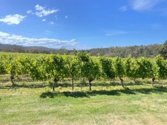 59FD6CCD-05DD-4DE5-9DC8-949B51A8E76E.jpeg 59FD6CCD-05DD-4DE5-9DC8-949B51A8E76E.jpeg