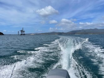 E43CB944-7854-4E44-89BF-EEAA4BD3A1E7.jpeg E43CB944-7854-4E44-89BF-EEAA4BD3A1E7.jpeg