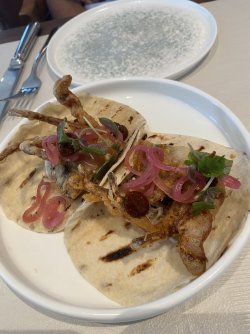 IMG_3868.jpg IMG_3868.jpg