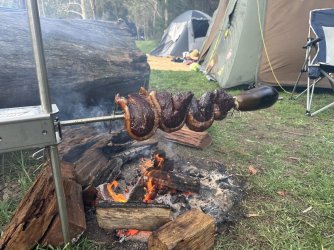 1674960738204.jpeg 1674960738204.jpeg