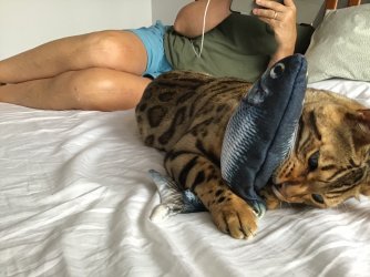 4E78B3A5-3C25-4DDE-A93E-488B902E811F.jpeg 4E78B3A5-3C25-4DDE-A93E-488B902E811F.jpeg