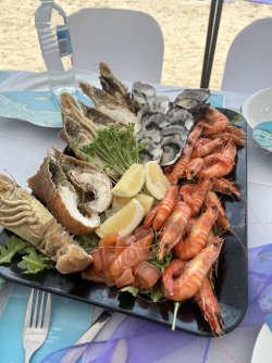 D74A74CB-BA24-4D89-83D5-69F7D1BC8419.jpeg D74A74CB-BA24-4D89-83D5-69F7D1BC8419.jpeg