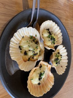 F5869C4B-1B15-4B70-AC0B-7E5E0F065DE5.jpeg F5869C4B-1B15-4B70-AC0B-7E5E0F065DE5.jpeg