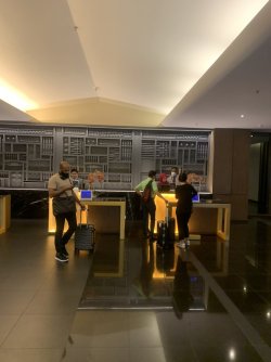 DBCC1748-A16C-4B57-84F8-A8429BE9EDD1.jpeg DBCC1748-A16C-4B57-84F8-A8429BE9EDD1.jpeg