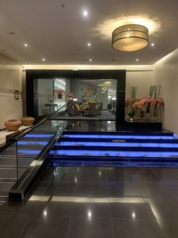 46065095-19FF-4FE4-9DB2-FB394061176E.jpeg 46065095-19FF-4FE4-9DB2-FB394061176E.jpeg