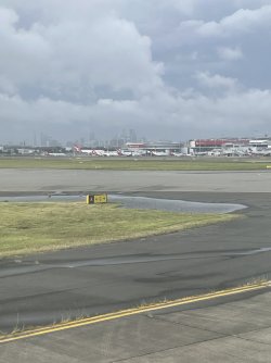 F63EF9B5-C705-4CAA-BF8C-451055836DB4.jpeg F63EF9B5-C705-4CAA-BF8C-451055836DB4.jpeg