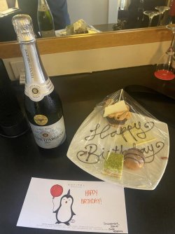 329987121_737153754451711_596788408762394783_n.jpg 329987121_737153754451711_596788408762394783_n.jpg