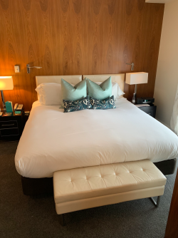 3DC15443-B57C-4419-BFB2-768B7947C61B.png 3DC15443-B57C-4419-BFB2-768B7947C61B.png