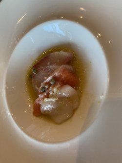 IMG_2825.JPG IMG_2825.JPG