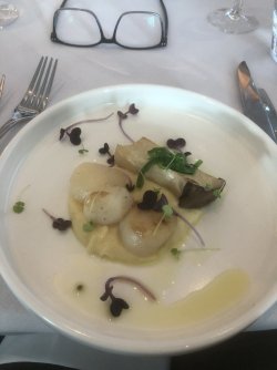 E4C4596A-4190-446E-B2EF-EEBE6255BD98.jpeg E4C4596A-4190-446E-B2EF-EEBE6255BD98.jpeg