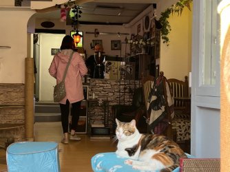 4C311405-7CF3-4363-989F-FFCFC89041C9.jpeg 4C311405-7CF3-4363-989F-FFCFC89041C9.jpeg