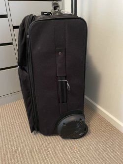 3876E9FD-6335-4218-ACC1-BF53FA7800E9.jpeg 3876E9FD-6335-4218-ACC1-BF53FA7800E9.jpeg