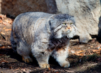 Screen Shot 2023-02-22 at 9.19.31 am.png Screen Shot 2023-02-22 at 9.19.31 am.png