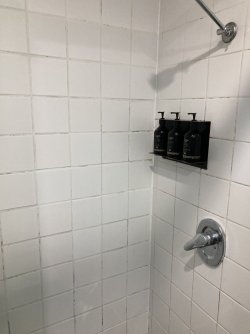 IMG_8174.jpeg IMG_8174.jpeg