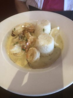 9C4BB82B-3015-4930-B368-99724E4B8489.jpeg 9C4BB82B-3015-4930-B368-99724E4B8489.jpeg