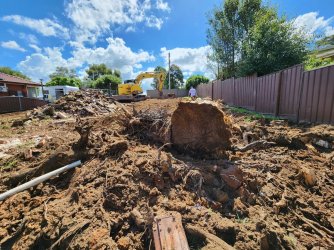 20230302_143647.jpg 20230302_143647.jpg