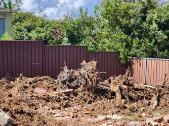 20230302_143812.jpg 20230302_143812.jpg