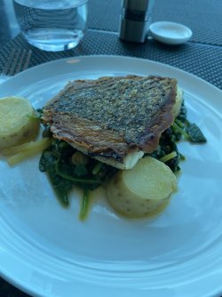 9E628CCB-C1C2-44E4-9BF5-3CE37D7E1D9D.jpeg 9E628CCB-C1C2-44E4-9BF5-3CE37D7E1D9D.jpeg