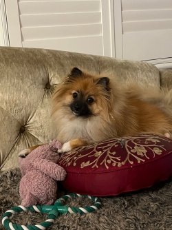 IMG_0183.jpeg IMG_0183.jpeg