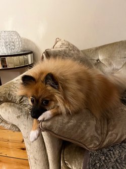 IMG_0185.jpeg IMG_0185.jpeg