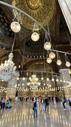 DDC57AC2-EED2-44B9-8051-68EA5702045A.jpeg DDC57AC2-EED2-44B9-8051-68EA5702045A.jpeg